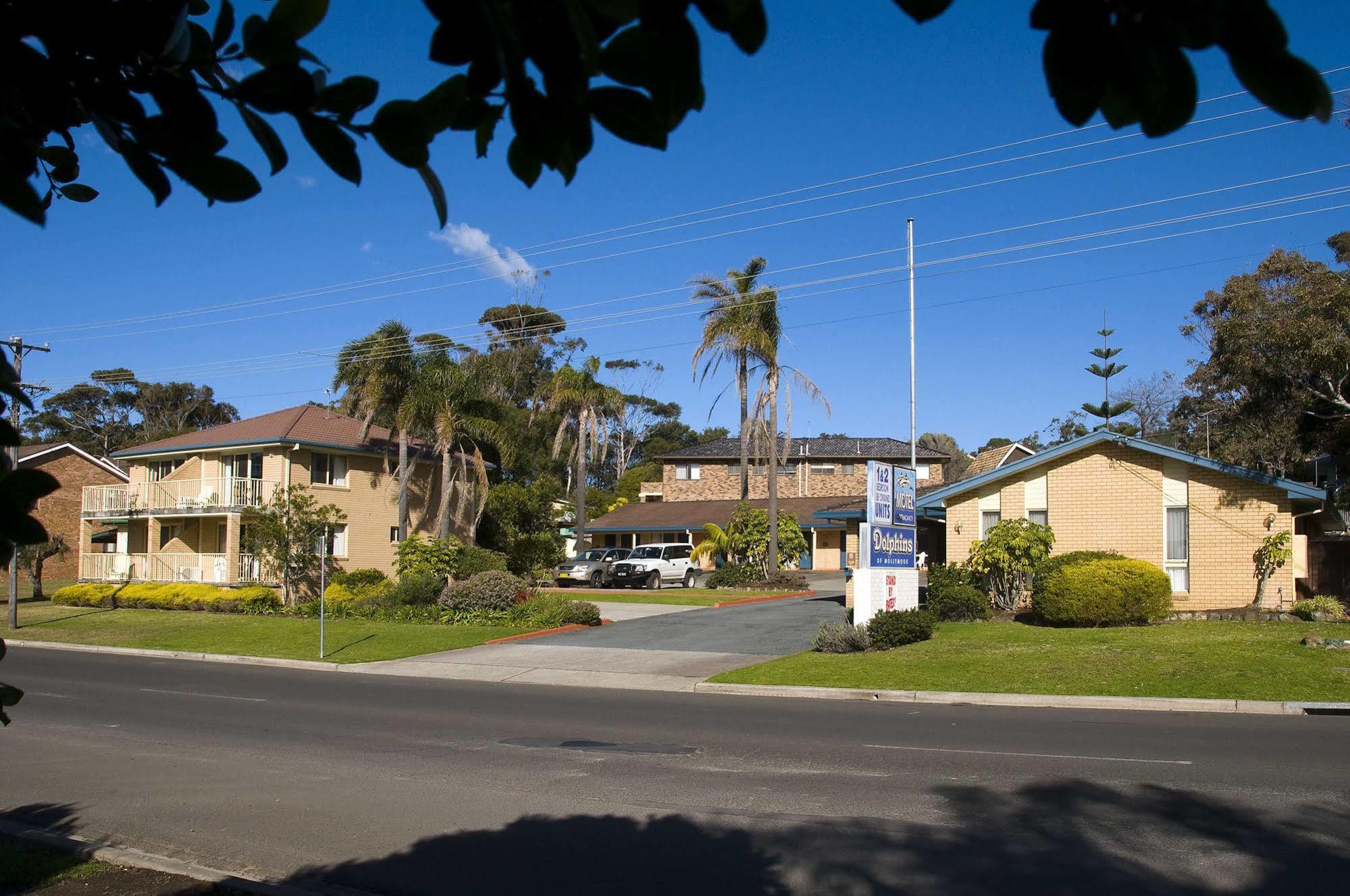 Dolphins Of Mollymook Motel מראה חיצוני תמונה